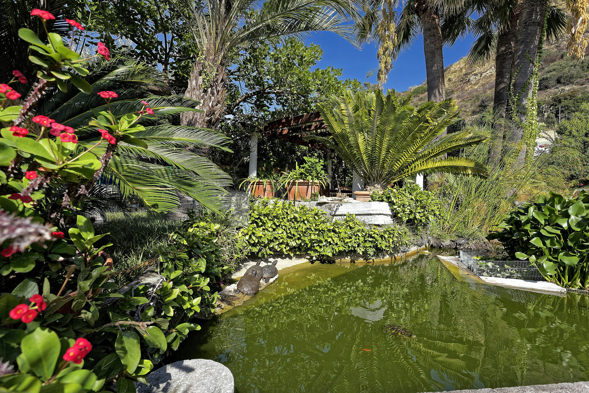 Hotel Parco Smeraldo Terme Barano dʼIschia Esterno foto